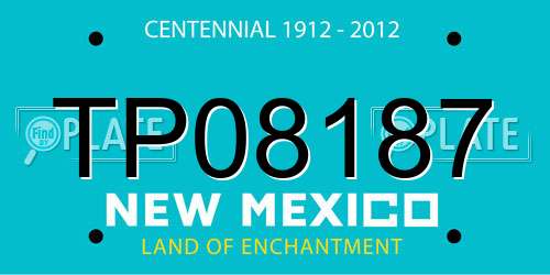 TP08187 New Mexico License Plate