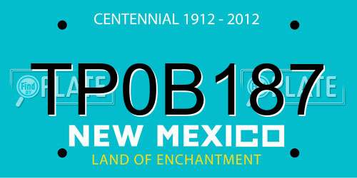 TP0B187 New Mexico License Plate