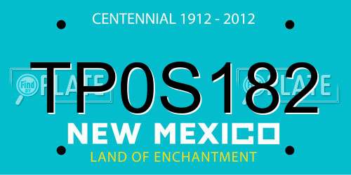 TP0S182 New Mexico License Plate