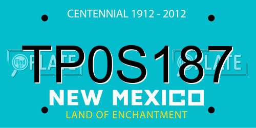 TP0S187 New Mexico License Plate