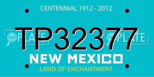 TP32377 New Mexico License Plate
