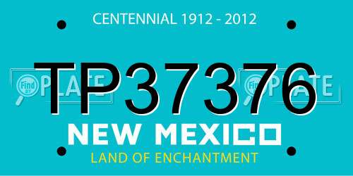TP37376 New Mexico License Plate