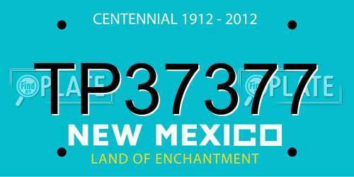 TP37377 New Mexico License Plate