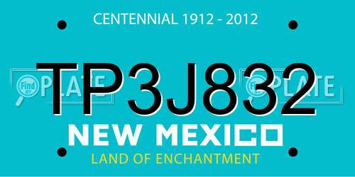TP3J832 New Mexico License Plate