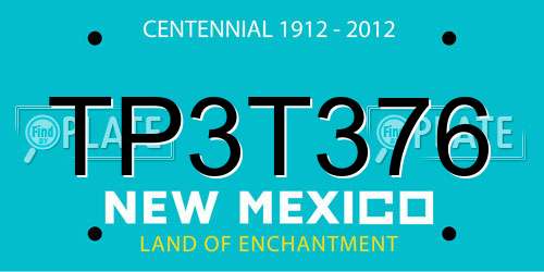 TP3T376 New Mexico License Plate