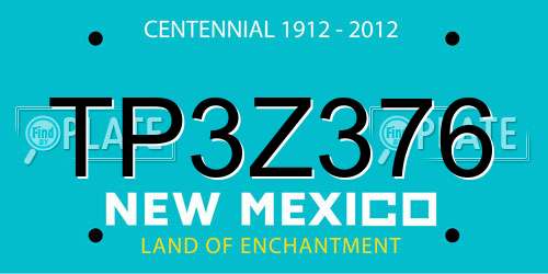 TP3Z376 New Mexico License Plate
