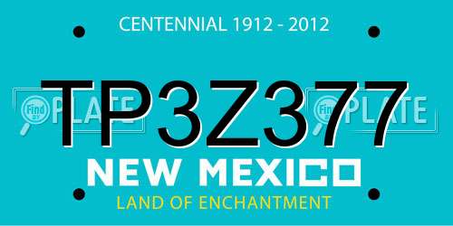 TP3Z377 New Mexico License Plate