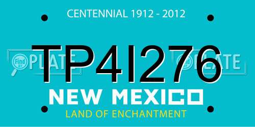 TP4I276 New Mexico License Plate