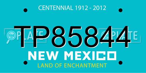 TP85844 New Mexico License Plate
