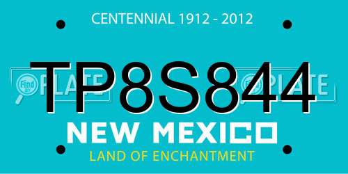TP8S844 New Mexico License Plate