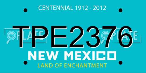 TPE2376 New Mexico License Plate