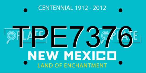 TPE7376 New Mexico License Plate
