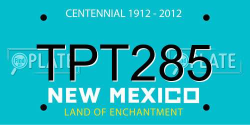 TPT285 New Mexico License Plate