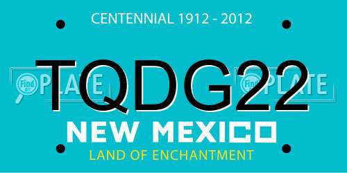 TQDG22 New Mexico License Plate