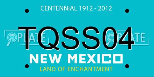 TQSS04 New Mexico License Plate