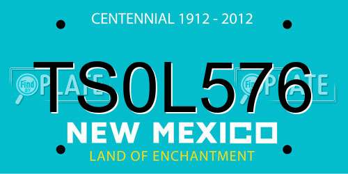 TS0L576 New Mexico License Plate