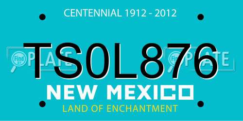 TS0L876 New Mexico License Plate