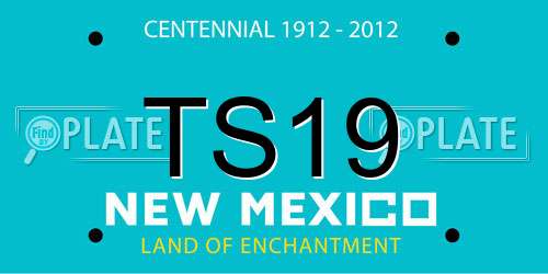 TS19 New Mexico License Plate