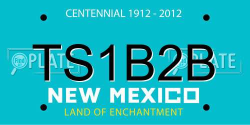 TS1B2B New Mexico License Plate