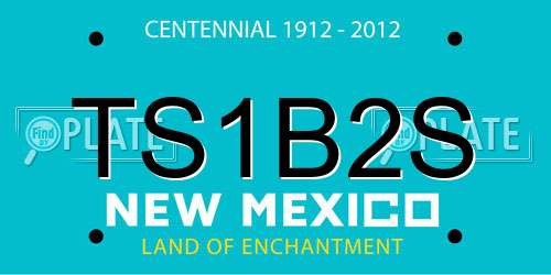 TS1B2S New Mexico License Plate