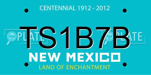 TS1B7B New Mexico License Plate
