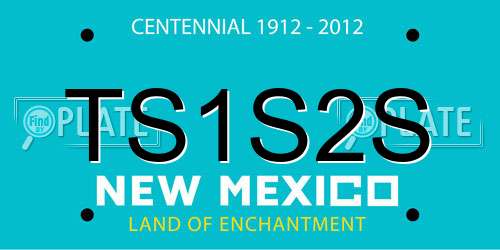 TS1S2S New Mexico License Plate