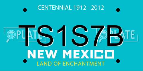 TS1S7B New Mexico License Plate