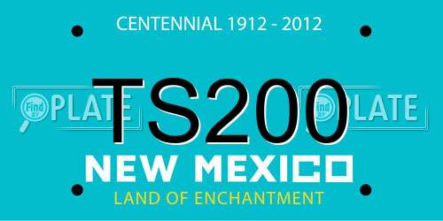 TS200 New Mexico License Plate