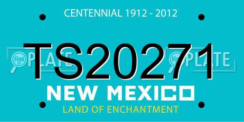 TS20271 New Mexico License Plate