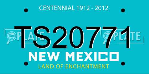 TS20771 New Mexico License Plate