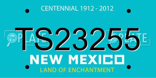 TS23255 New Mexico License Plate