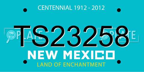 TS23258 New Mexico License Plate