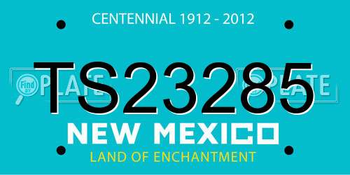 TS23285 New Mexico License Plate
