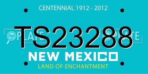 TS23288 New Mexico License Plate