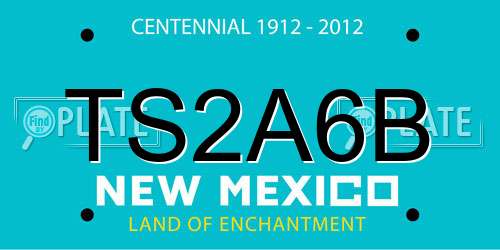 TS2A6B New Mexico License Plate