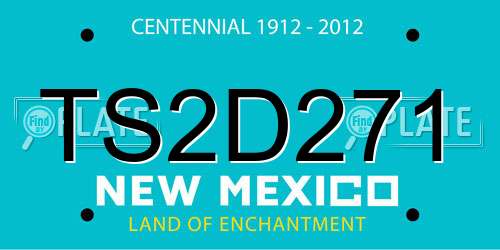 TS2D271 New Mexico License Plate