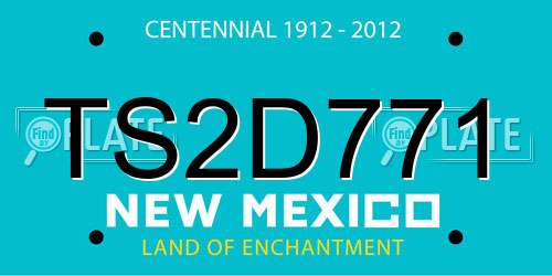 TS2D771 New Mexico License Plate
