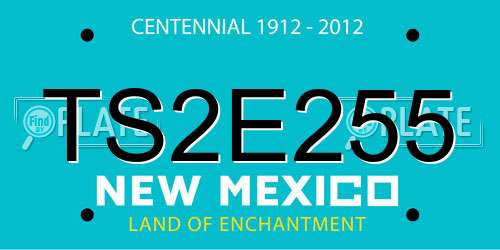 TS2E255 New Mexico License Plate