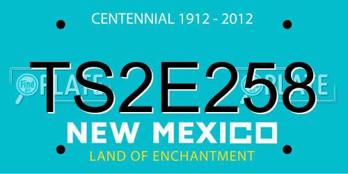 TS2E258 New Mexico License Plate