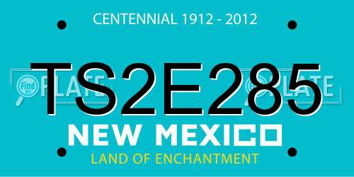 TS2E285 New Mexico License Plate