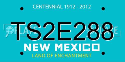 TS2E288 New Mexico License Plate