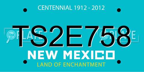 TS2E758 New Mexico License Plate