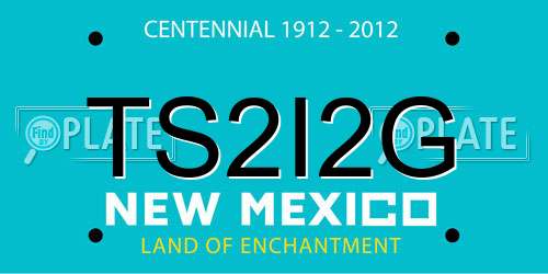 TS2I2G New Mexico License Plate