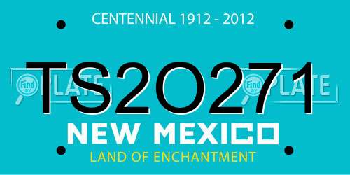 TS2O271 New Mexico License Plate