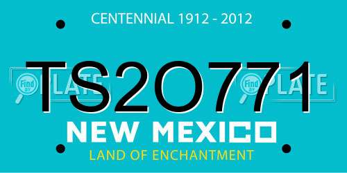 TS2O771 New Mexico License Plate