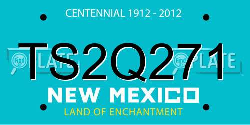 TS2Q271 New Mexico License Plate