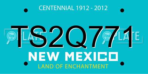 TS2Q771 New Mexico License Plate