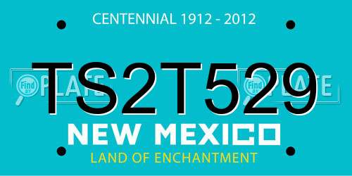 TS2T529 New Mexico License Plate