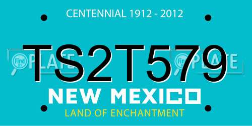 TS2T579 New Mexico License Plate