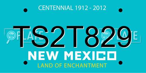 TS2T829 New Mexico License Plate